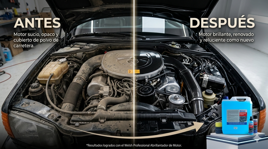 Abrillantador de Motores Bidon 5L