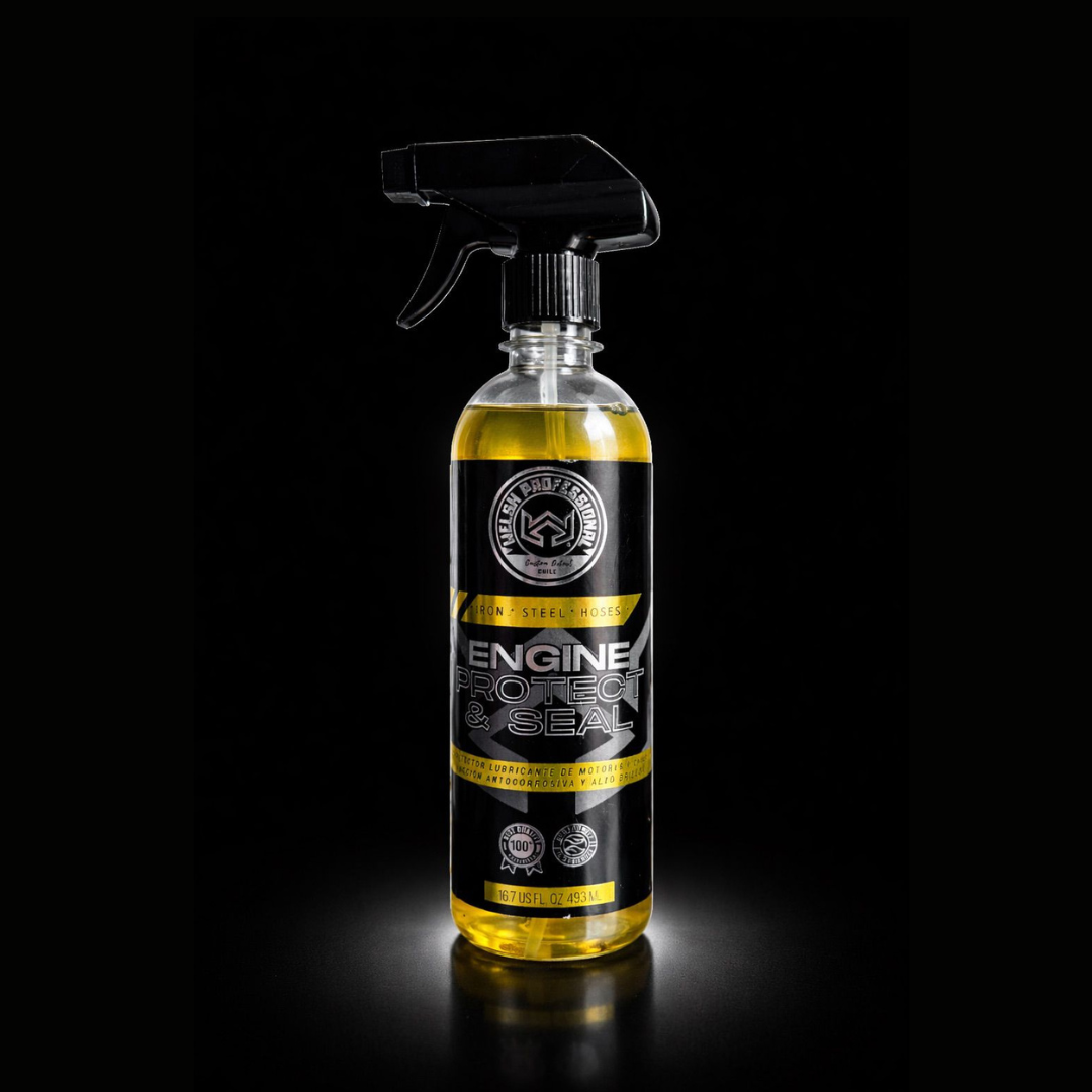 ENGINE PROTECT & SHINE